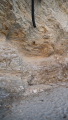 TalaThumb0010.jpg
