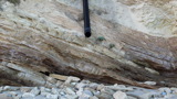 TalaThumb0011.jpg