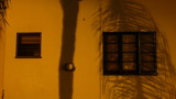 TalaThumb0022.jpg