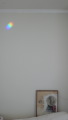 TalaThumb0025.jpg