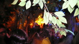 TalaThumb0034.jpg