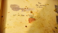 TalaThumb0117.jpg