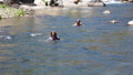 TalaThumb0123.jpg