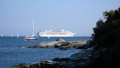 TalaThumb0177.jpg