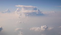 TalaThumb0180.jpg