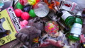 TalaThumb0200.jpg
