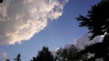 TalaThumb0214.jpg