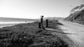 TalaThumb0232.jpg