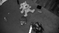 TalaThumb0257.jpg