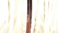 TalaThumb0263.jpg