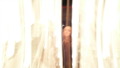 TalaThumb0264.jpg