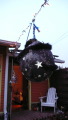 TalaThumb0278.jpg