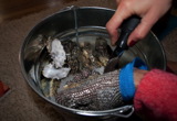 TalaThumb0301.jpg