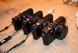 TalaThumb0308.jpg