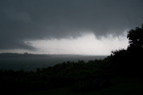 TalaThumb0090.jpg