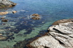 TalaThumb0100.jpg