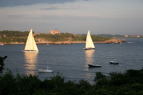 TalaThumb0108.jpg