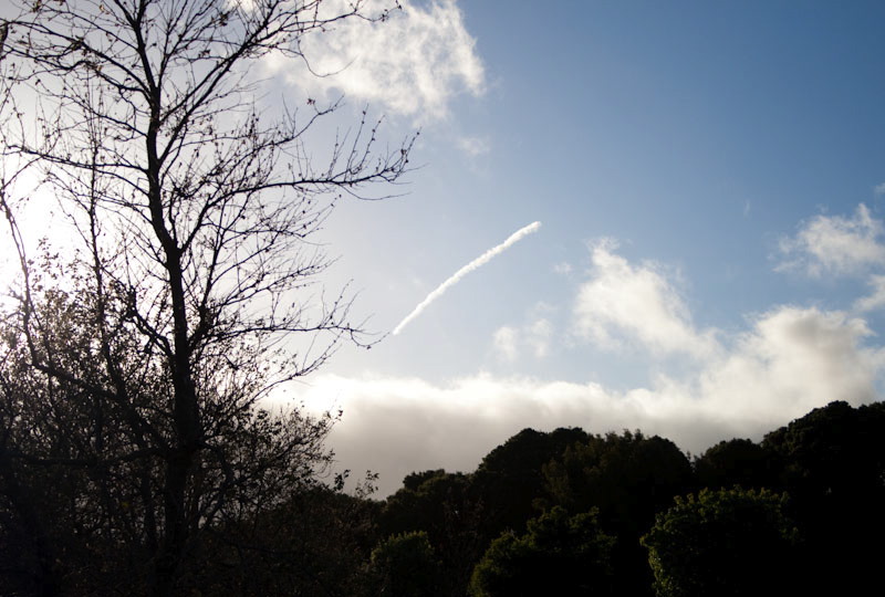 0208_201005_0045.jpg