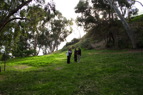 TalaThumb0013.jpg