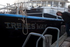 TalaThumb0152.jpg