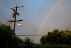 TalaThumb0156.jpg