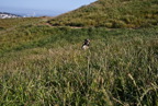 TalaThumb0164.jpg