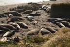 TalaThumb0167.jpg