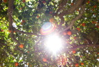 TalaThumb0169.jpg