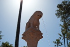 TalaThumb0171.jpg