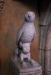 TalaThumb0175.jpg