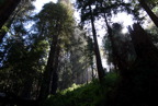 TalaThumb0201.jpg