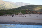 TalaThumb0209.jpg