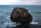 TalaThumb0211.jpg