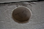 TalaThumb0217.jpg