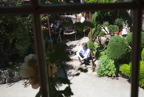 TalaThumb0218.jpg
