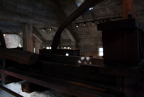 TalaThumb0236.jpg
