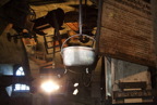 TalaThumb0238.jpg