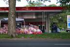 TalaThumb0242.jpg