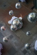 TalaThumb0270.jpg