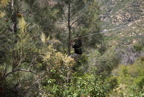 TalaThumb0305.jpg
