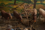 TalaThumb0314.jpg