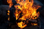 TalaThumb0322.jpg