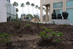 TalaThumb0354.jpg